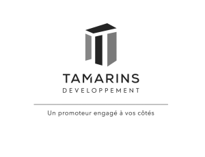 TAMARINS Developpement